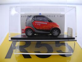 Busch Smart 48935 "Facelift" FW, Nr. R55