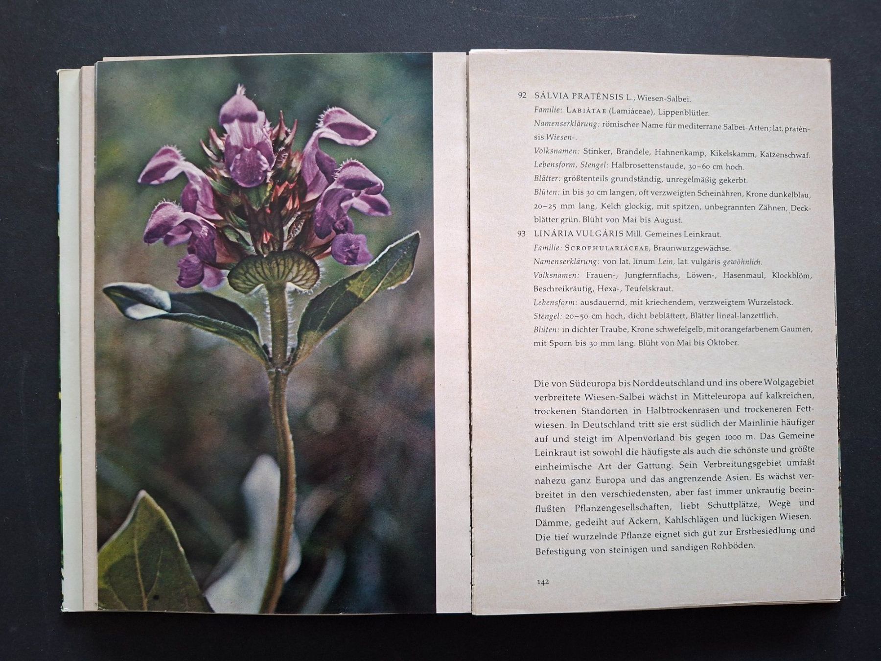 Bücher: Blumenbücher – Gebraucht aus Goldach von armando_r 2