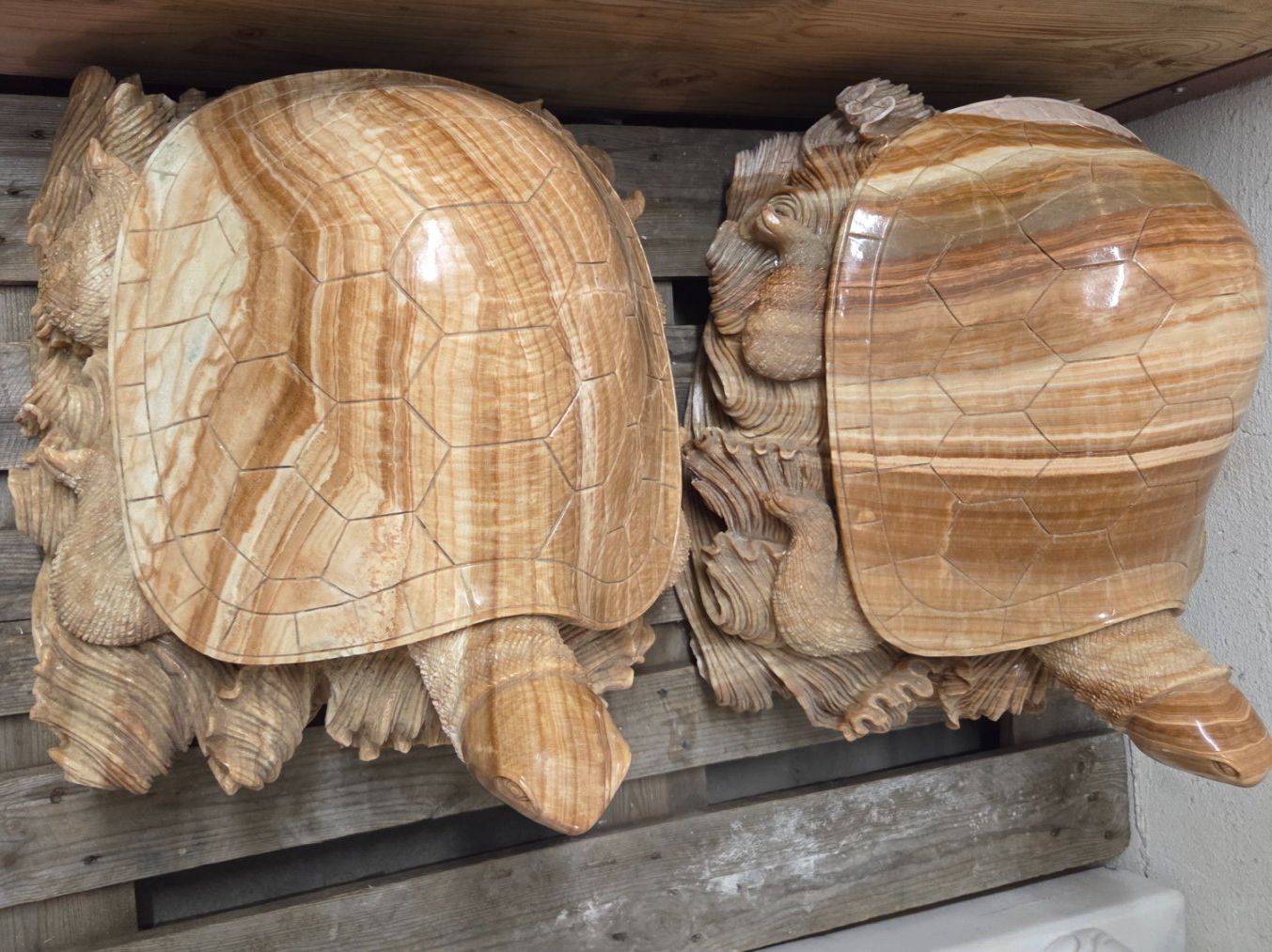 Sculture & Statue: Massive Schildkröte aus Marmor 50cm – Nuovo (secondo la descrizione) da Roggliswil venduto da Mabelco 1