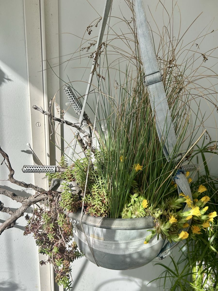 Blumentöpfe: Blumenampel  – Gebraucht aus Frauenfeld von Irene.Schuppli 5