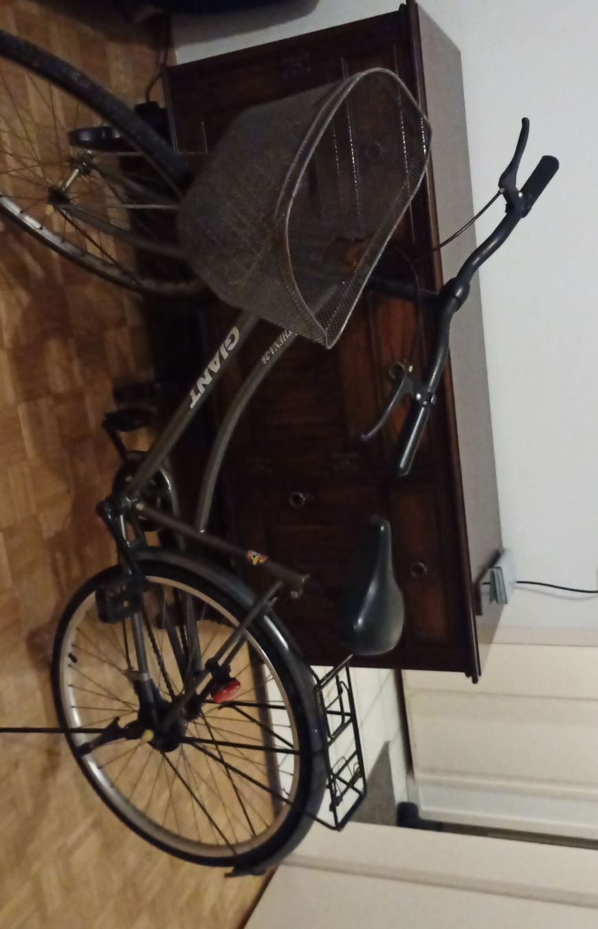 Giant Biciclette: Fahrrad Giant – Usato da Neuhausen am Rheinfall venduto da Shine7878 1