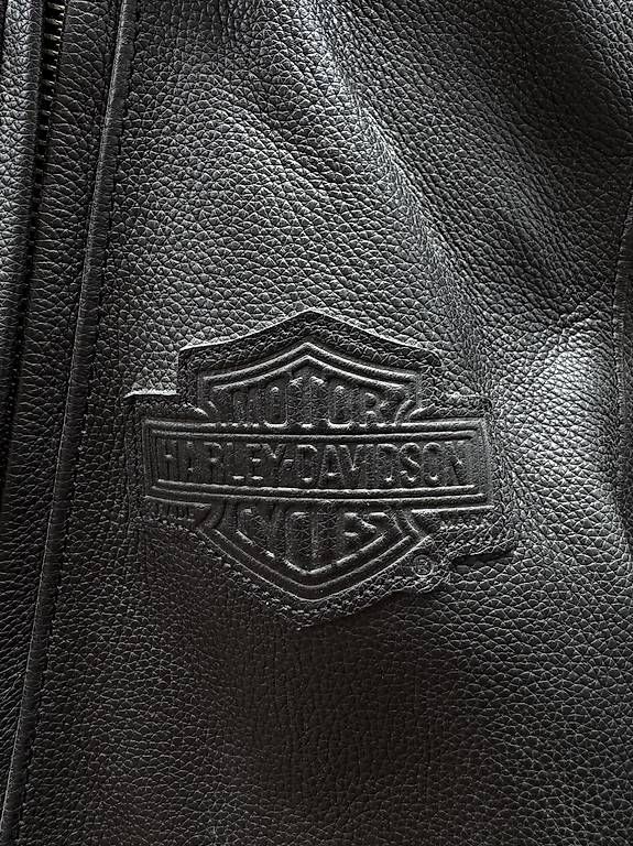 Harley-Davidson Giacche: Harley Davidson Motorradjacke Herren – Usato da Hünibach venduto da sas_gj7r 3