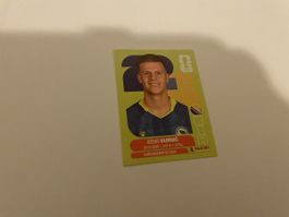 FIFA WM 2026 Dzenis Burnic BIH 14