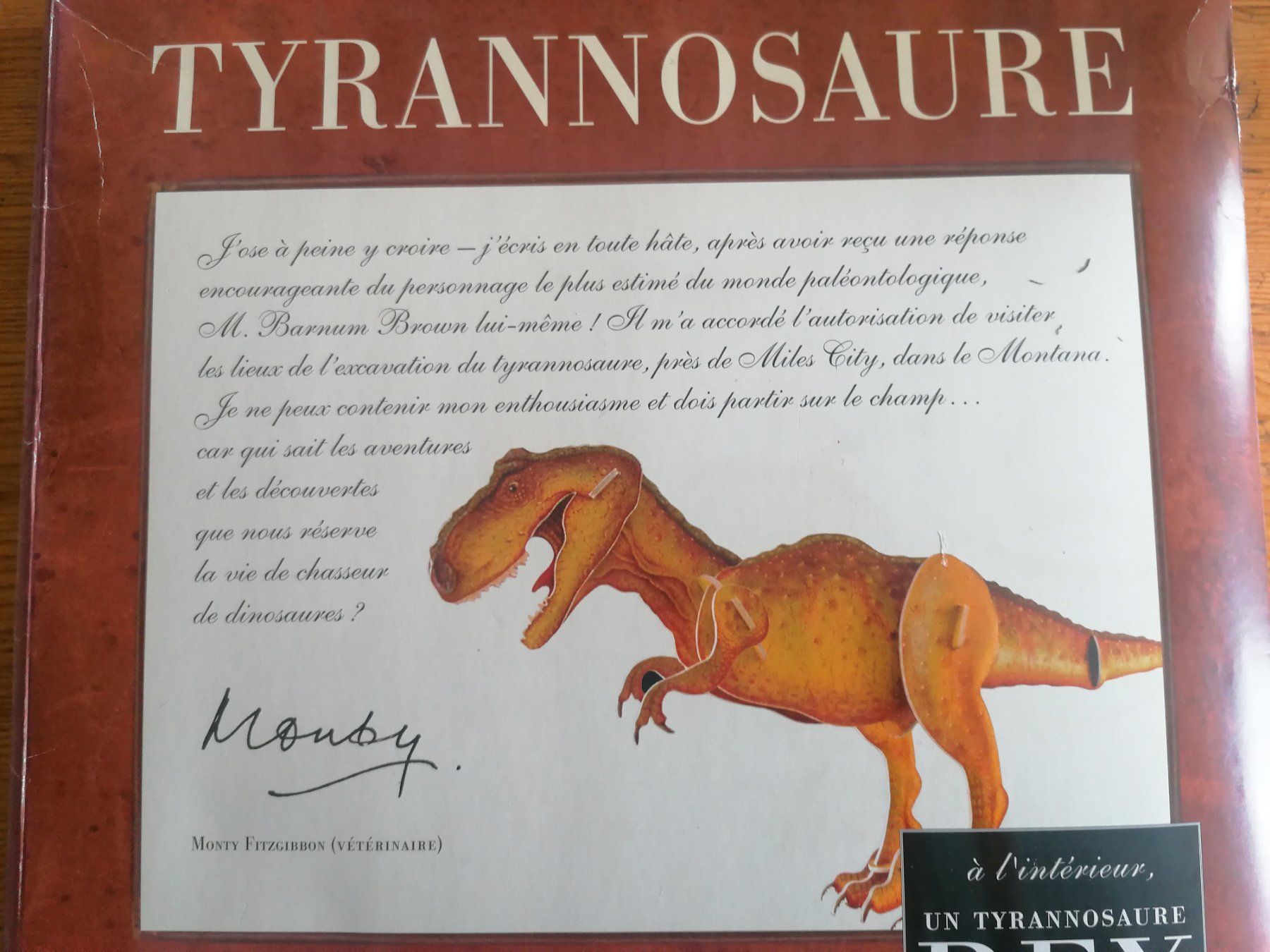 Giocattoli: Dinosaure-Tyrannosaurus Rex à assembler – Usato da Porrentruy venduto da Olifante