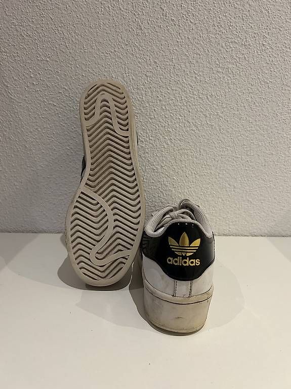 Chaussures femmes: ADIDAS Superstar Grösse 36 – D'occasion à Merenschwand par exclusive4you5634 3