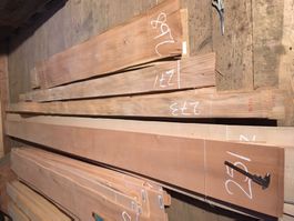 Ulmen Furnier Bund 273
