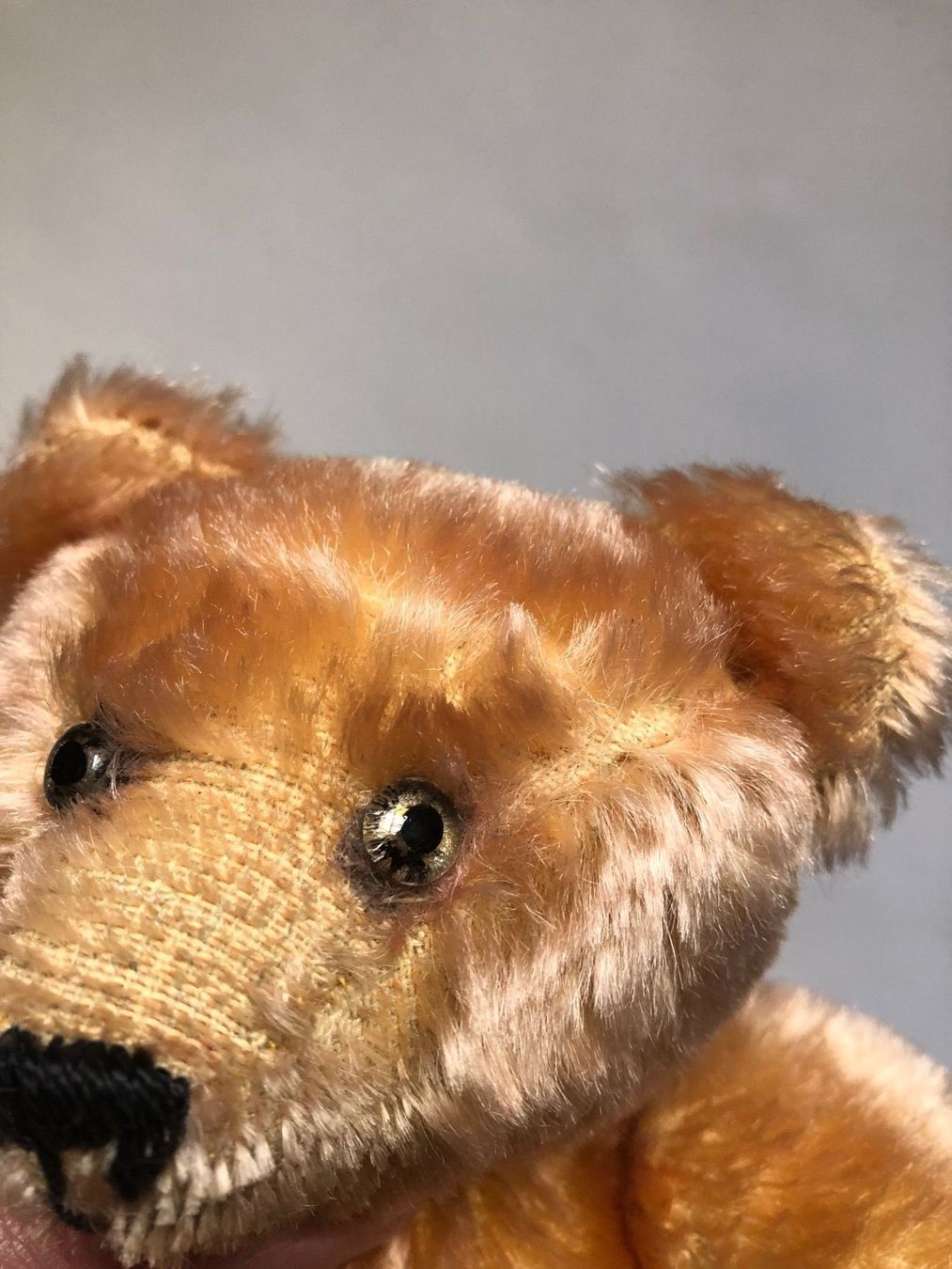 Spielzeuge: Ours en peluche – Gebraucht aus Arnex-sur-Orbe von cameleonfringant 1
