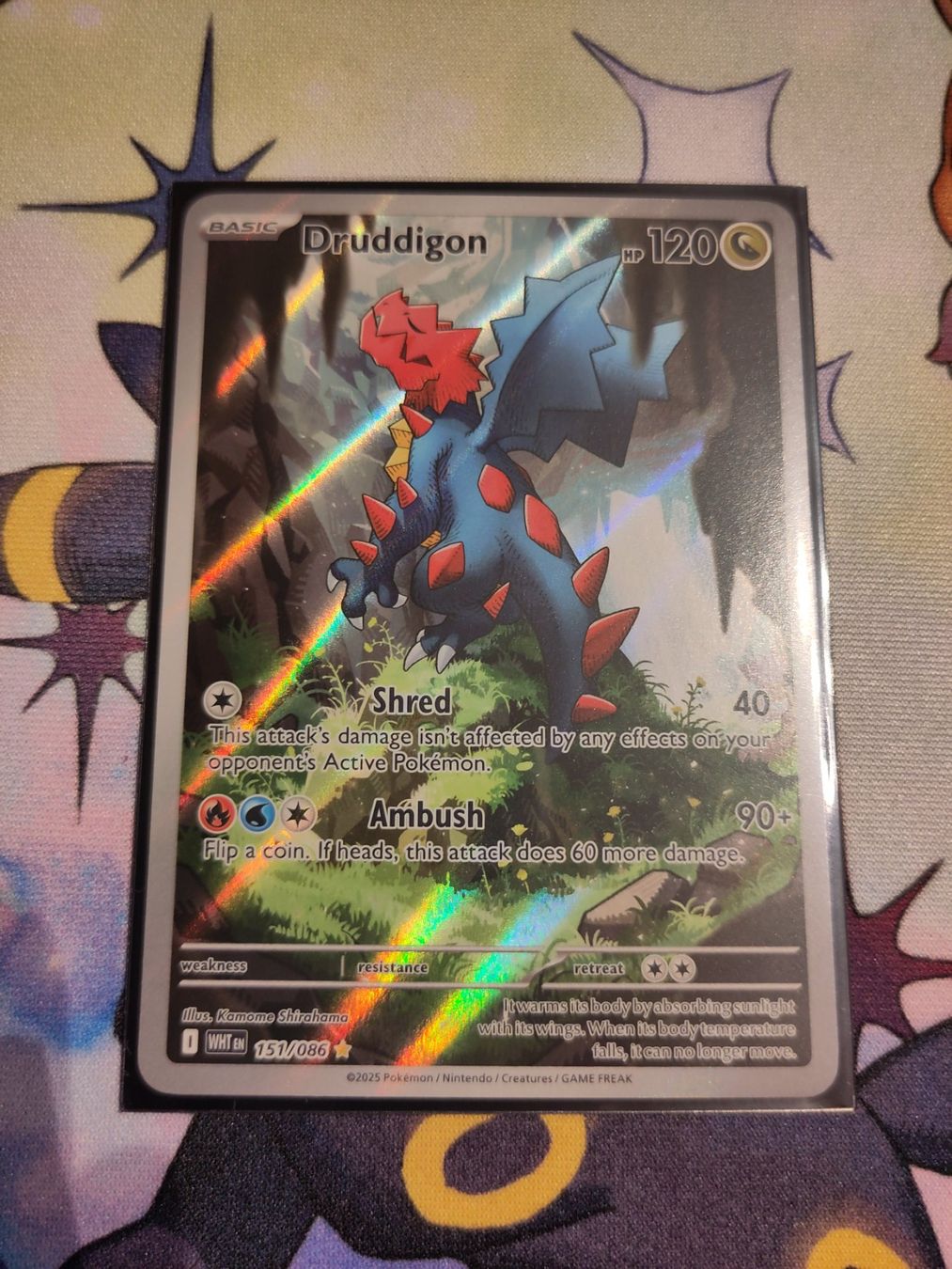 Pokémon Carte collezionabili: Druddigon 151/White Flare – Usato da Weiningen ZH venduto da mathisch