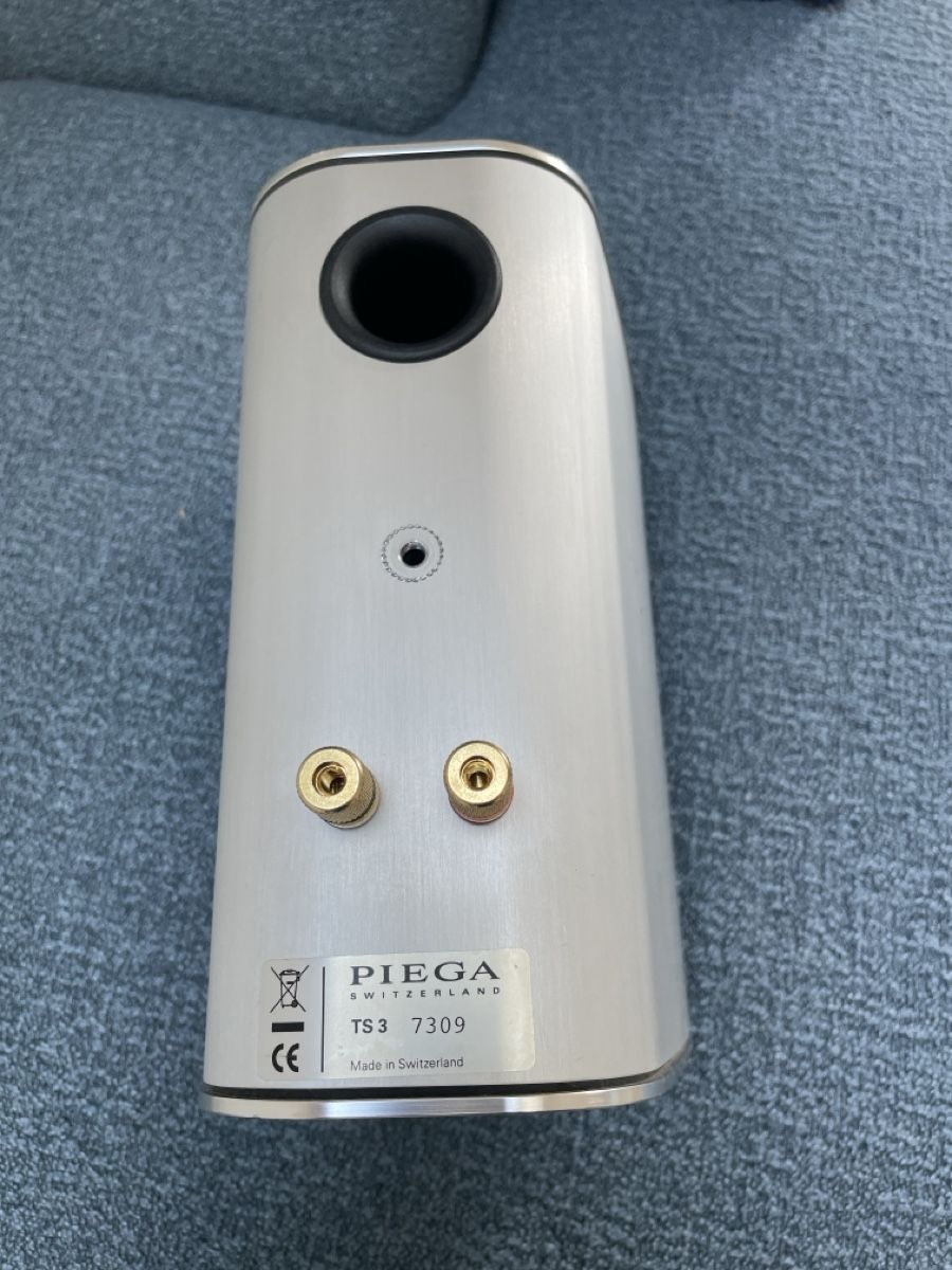 Piega Casse acustiche: Piega TS3 Lautsprecher – Usato da bern venduto da sousch 1