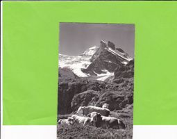 Lauterbrunnental, Obersteinberg--E. Gyger