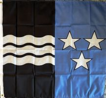 Fahne Flagge Kanton Aargau Baden Aarau AKW Aare Rhein Brugg