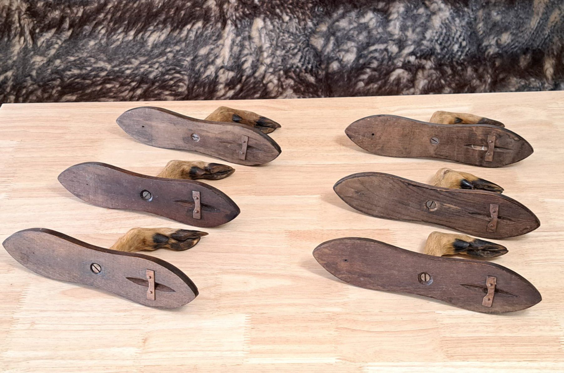 Guardaroba: Vintage Garderobe Reh Jagdtrophäe – Usato da Birsfelden venduto da oleros 4