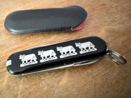 Kleines neues Victorinox Taschenmesser Sackmesser