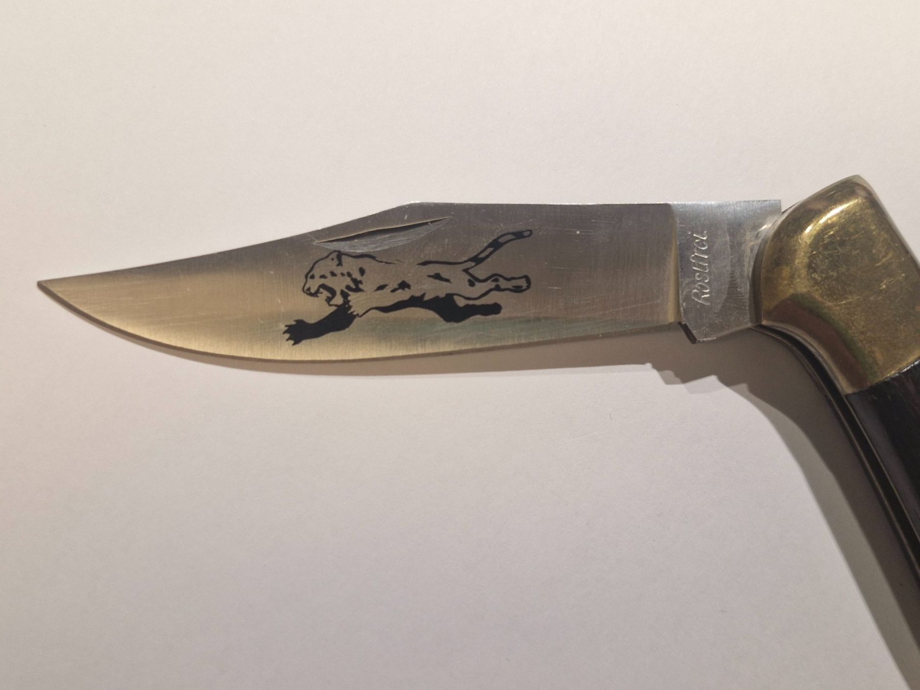 Taschenmesser: Taschenmesser robust mit Jaguarklinge – Gebraucht aus Zürich von Aisha8 5