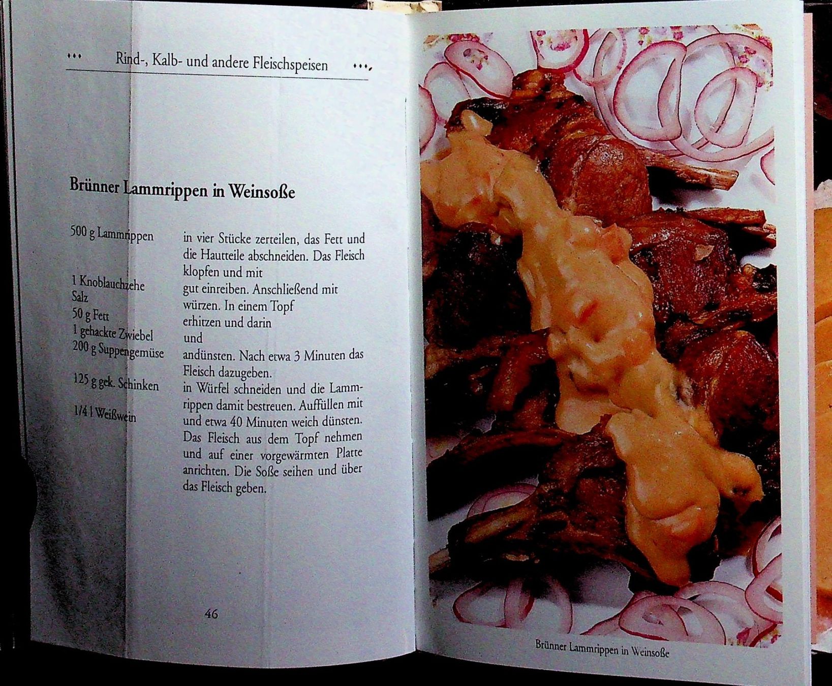 Libri: Die besten böhmischen Rezepte Vitalis 2004 – Usato da Reitnau venduto da Zaomir 5