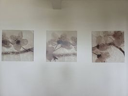 Wandbilder 56cm x 56cm