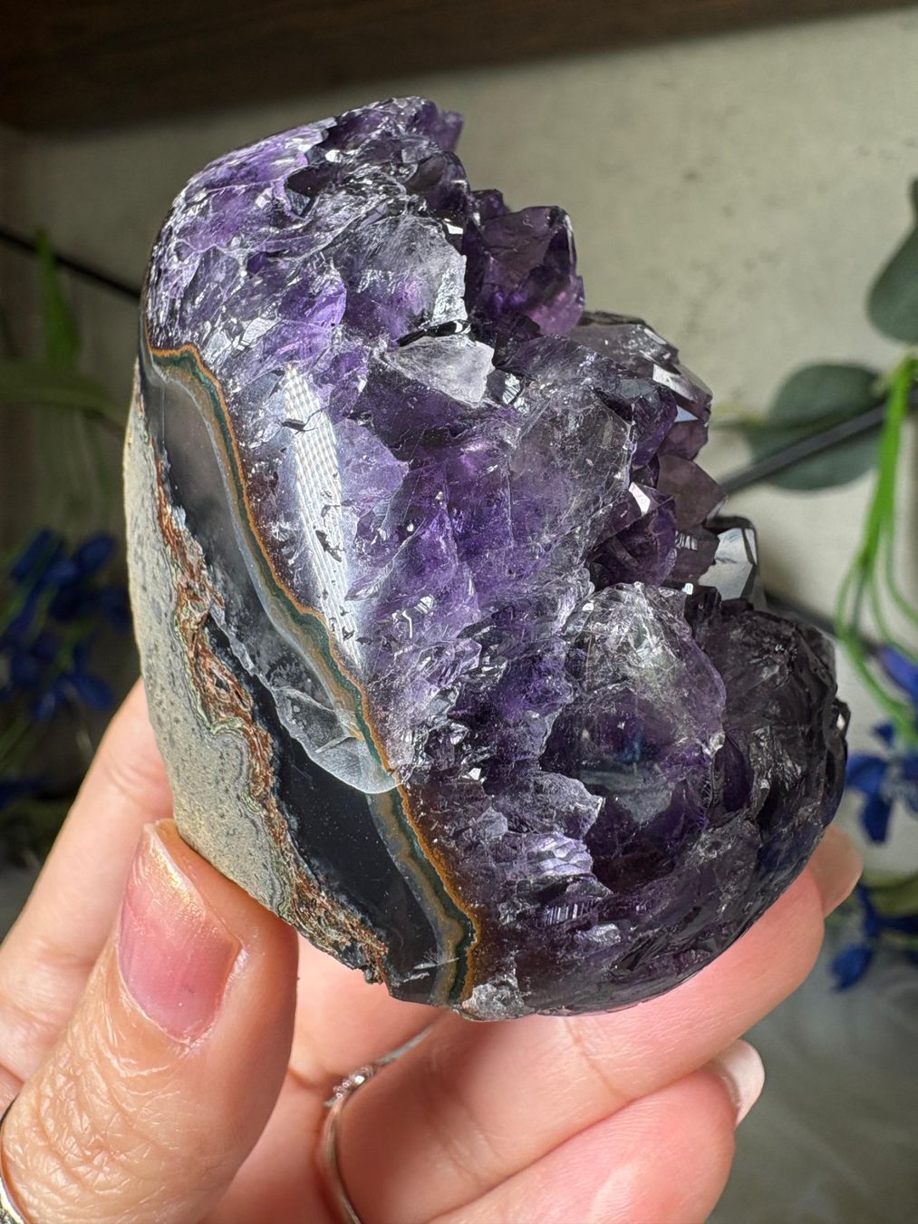 Pietre preziose: Uruguay Amethyst in Super-Qualität – Nuovo (secondo la descrizione) da Neuheim venduto da m.hald 5