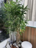 2 er Set Plastik Palme ca 140 cm 