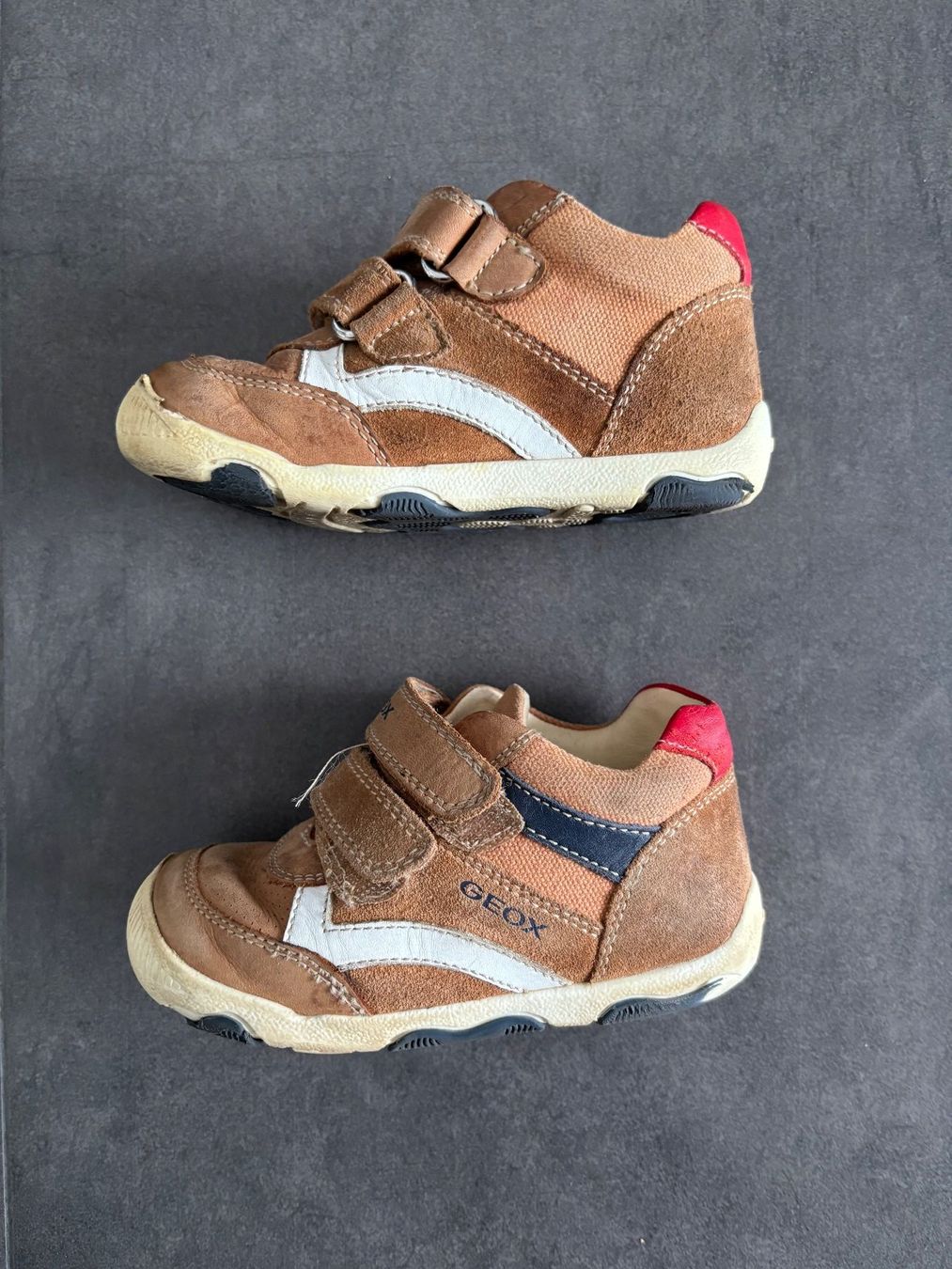 Geox Scarpe per ragazzi: Geox B neue Balu, Grösse EU 23 – Usato da Oberägeri venduto da MariaLehman 2