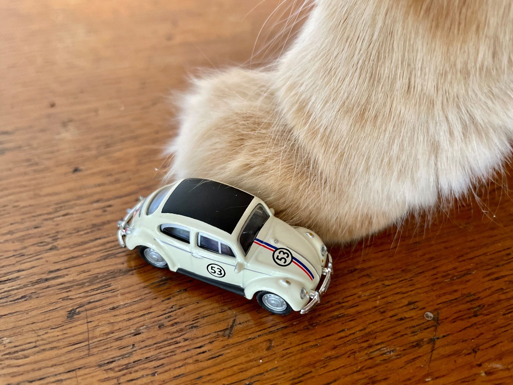 Schuco Modellautos: Schuco VW toy car – Gebraucht aus Genève von was_ksr9 5