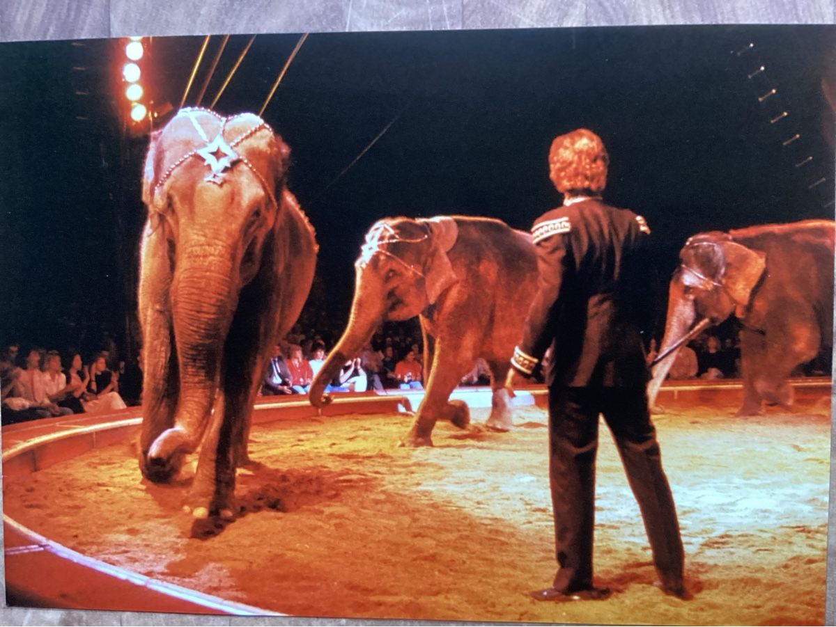 Foto & Immagini: Circus Knie Foto 1990 – Usato da Reichenbach i. K. venduto da astra2010