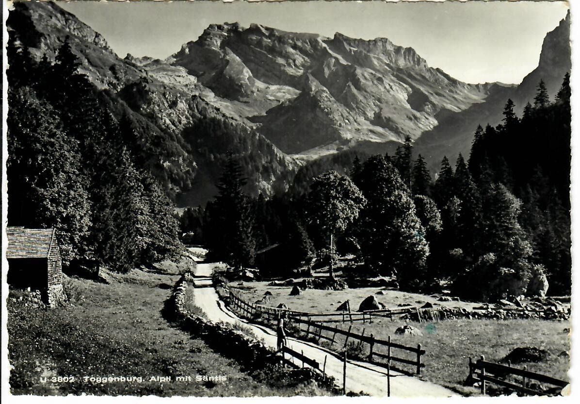 Cartoline postali: Toggenburg Alpli – Usato da Hochdorf venduto da Ziegel-16
