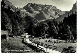 Toggenburg Alpli