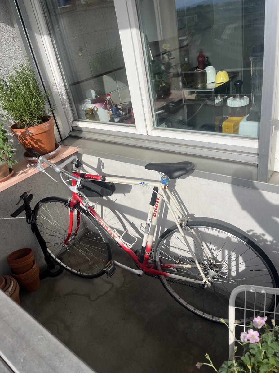 Giant Velos: Vintage Giant Rennrad Speedlite 59 – Gebraucht aus Zürich von mau_v8hn 3