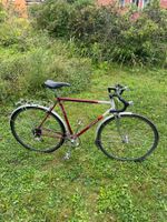 Villiger San Bernardino | Stadtvelo
