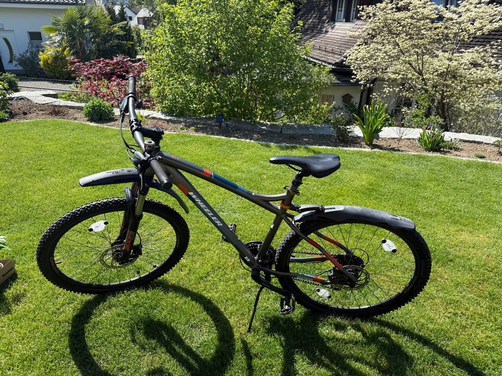 Wheeler Mountainbike Protron XT-40 – guter Zustand (Gebraucht) in ...
