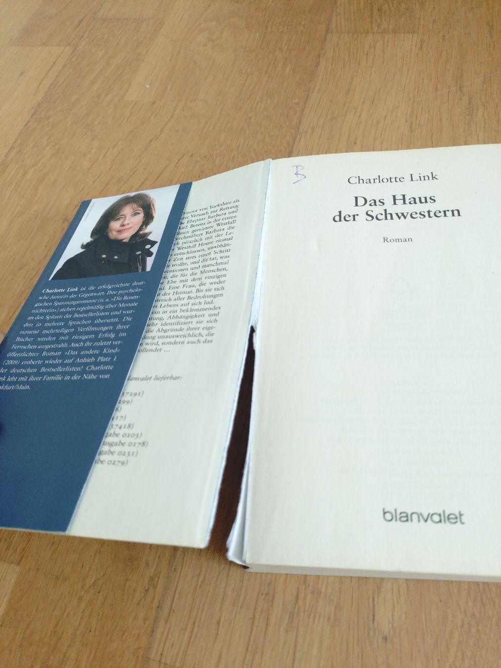 Libri: Charlotte Link Bücher – Usato da Goldau venduto da fel_nyl9 1