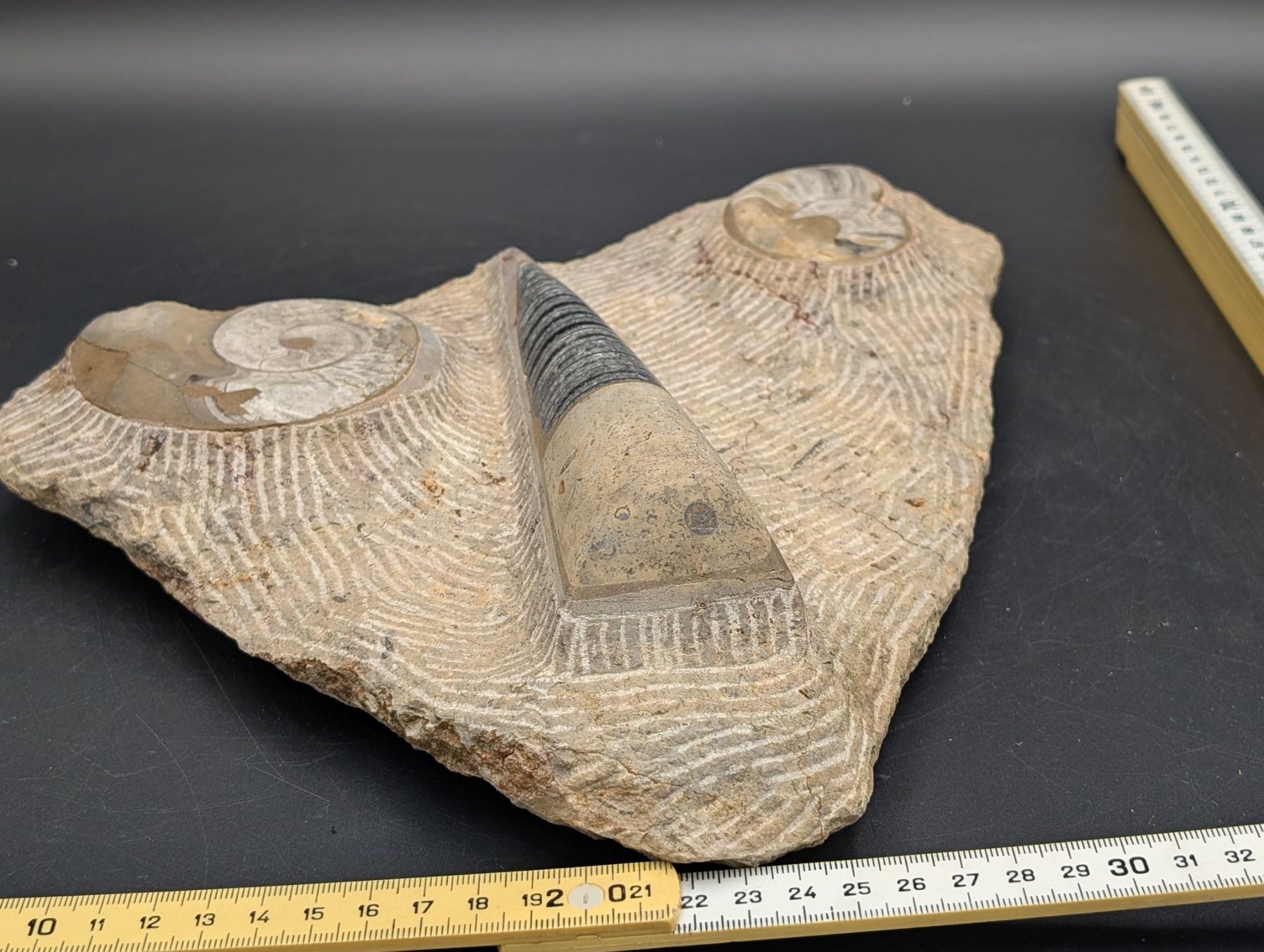 Fossili: Fossil Ammonit Belemnit? im Jura-Gestein? Versteinert – Usato da Winterthur venduto da Hint17 5