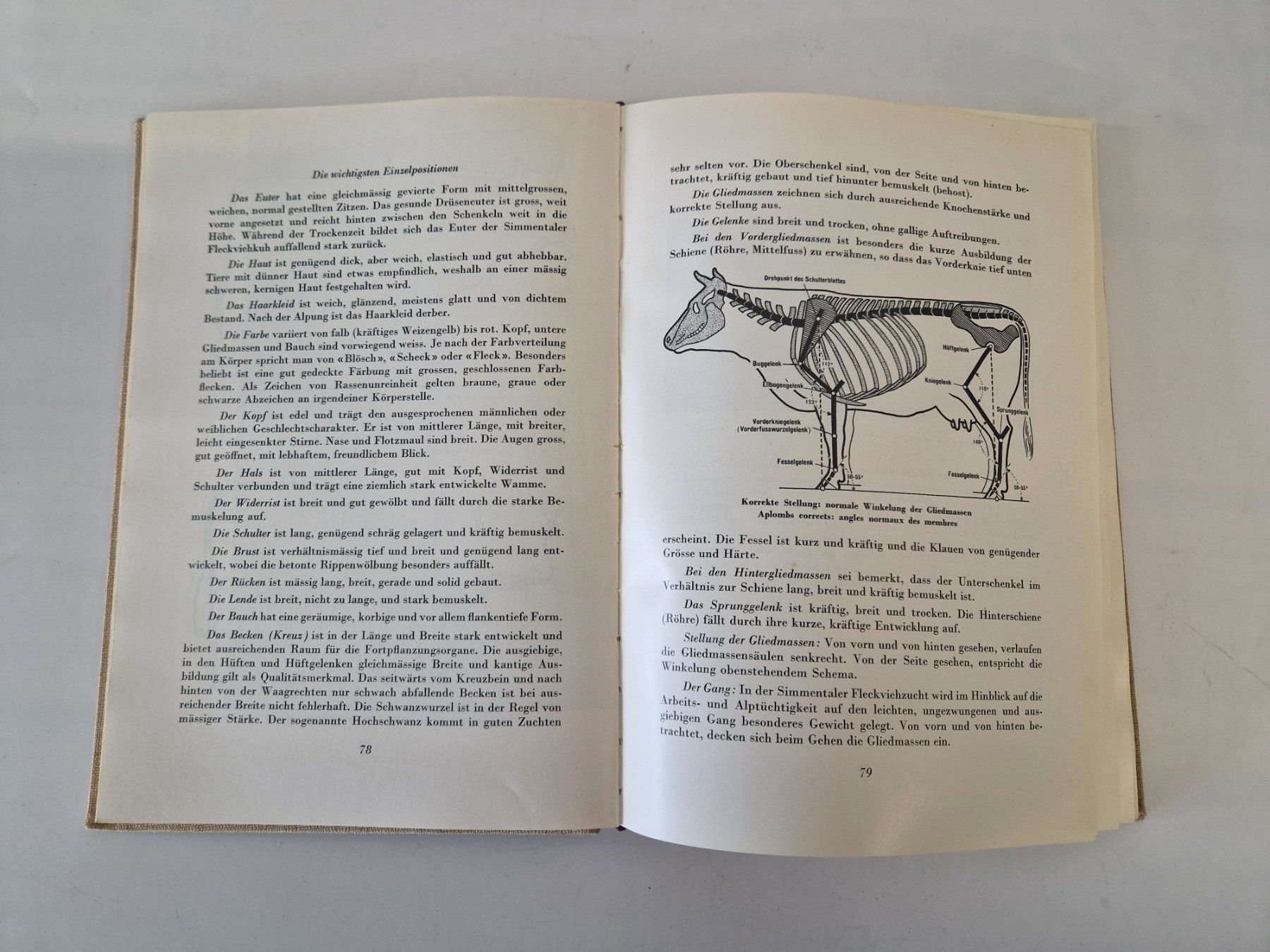 Libri: Das Simmentaler Fleckvieh der Schweiz – Usato da Muhen venduto da Restwert_Muhen 6