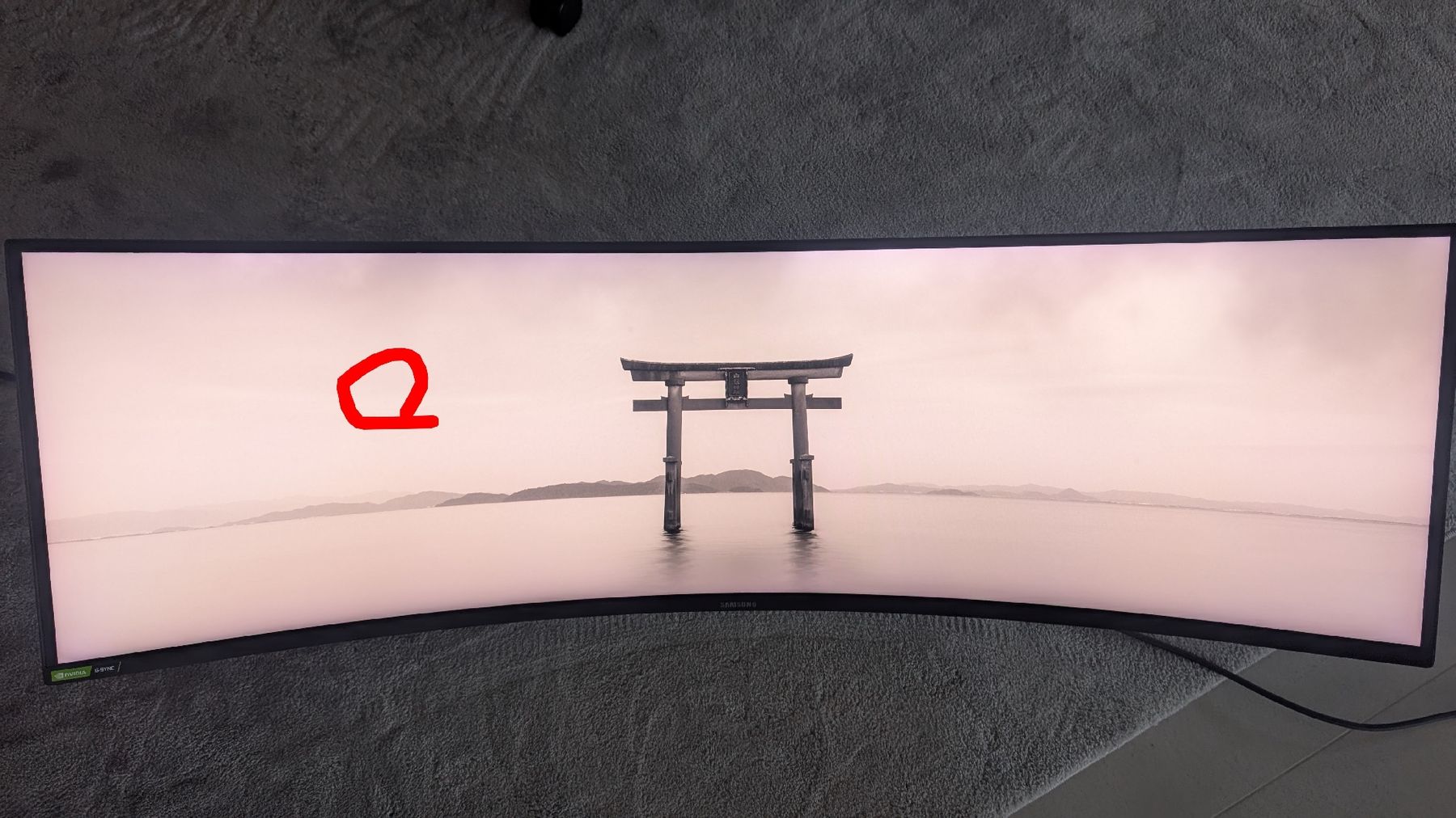 Samsung Monitor: Samsung Odyssey G9 G95T – Usato da Oberbütschel venduto da MINERCOIN 5