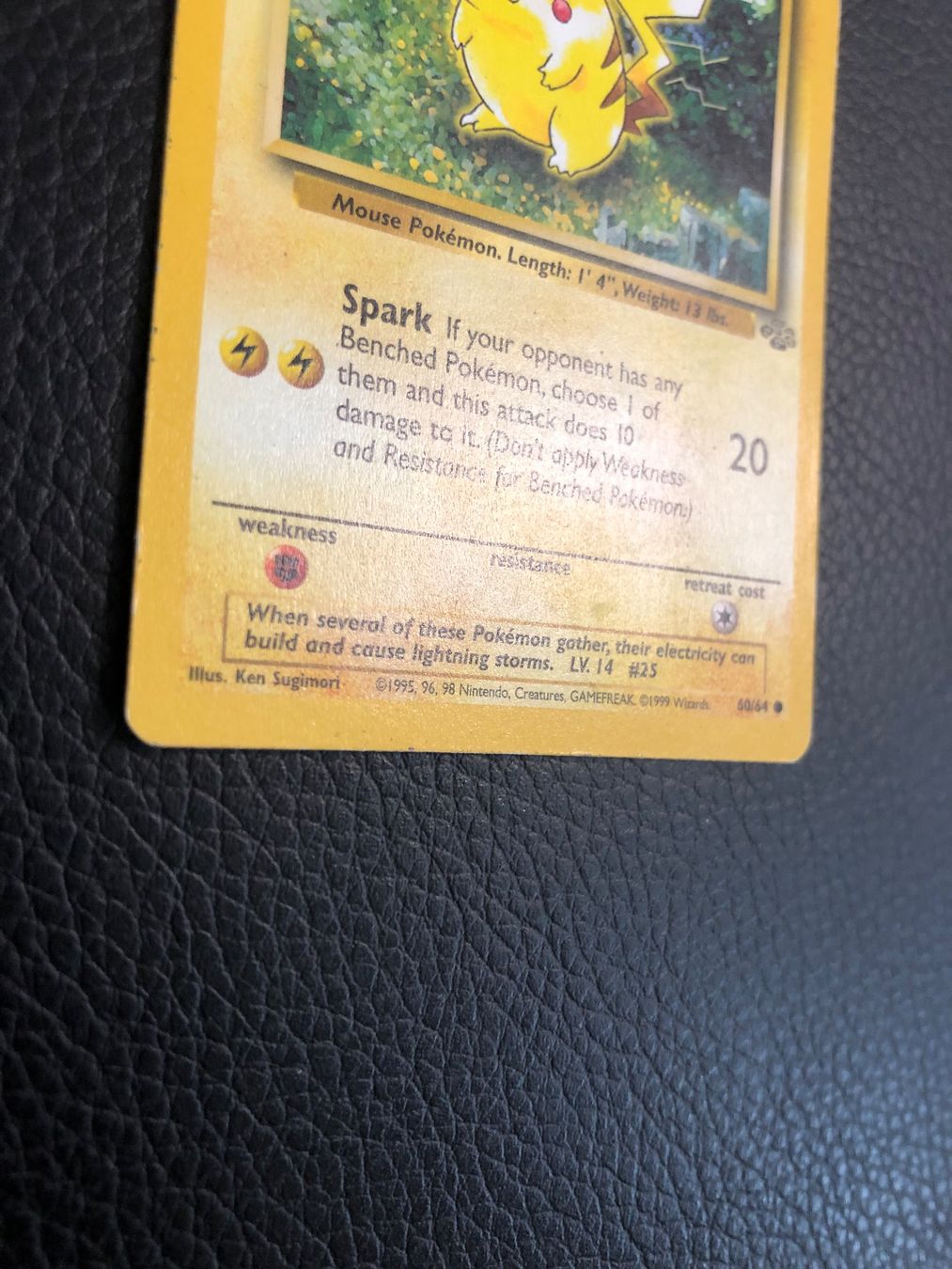 Pokémon Sammelbilder & Trading cards: 1999 Jungle Pikachu 60/64 Ab 1 – Gebraucht aus Paradiso von Pkmn10 2