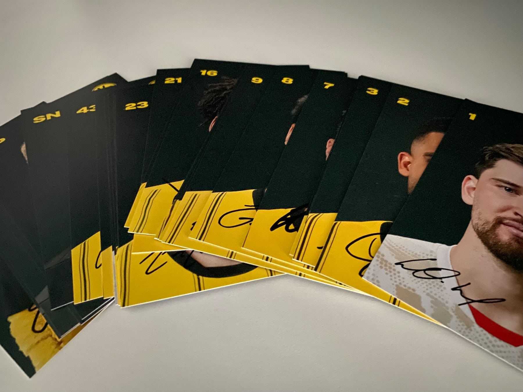 Autografi: Autogrammkarten Set BVB Dortmund 2024/25 – Usato da Hergiswil LU venduto da FcMalkov