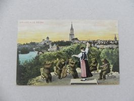 Karte Jux Humor Lustig Bären Bär Musikonzert in Bern 1906