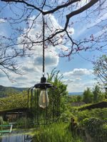 Garten Solar-Lampe von Pfister