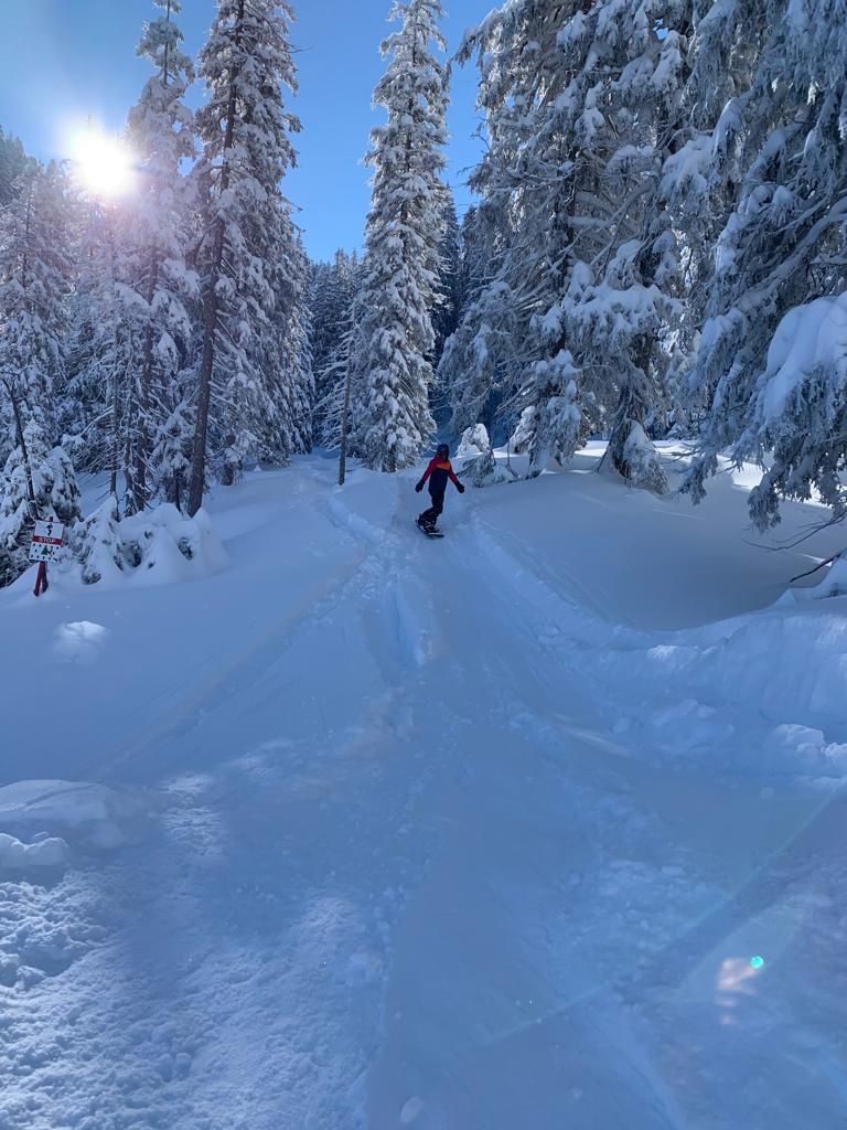 Board: Snowboardcross Snowboards Super (wie Kessler oder oxess) – Nuovo (secondo la descrizione) da Winterthur venduto da Lutz4917 3