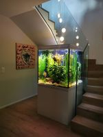 Aquarium 600 Liter Spezialanfertigung