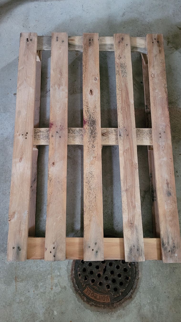 Pallets: Einwegpalette / Holzpalette – Usato da Wattwil venduto da Josua1995 1