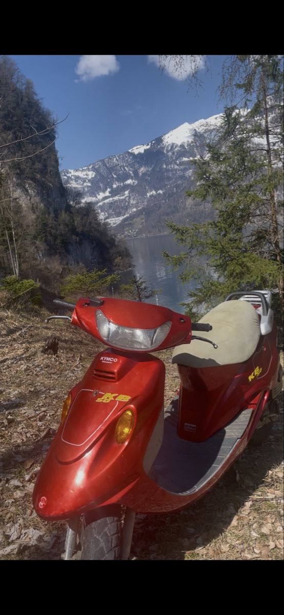 Kymco Scooter: Kymco kb 50ccm 45kmh – Usato da Mühlehorn venduto da noa_zqv6 1