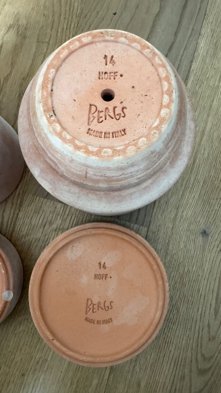 Vasi per fiori: Bergs Potter Hoff Pot Blumentopf+Unterteller 2er Set NP61 – Nuovo (secondo la descrizione) da Riehen venduto da To120 5