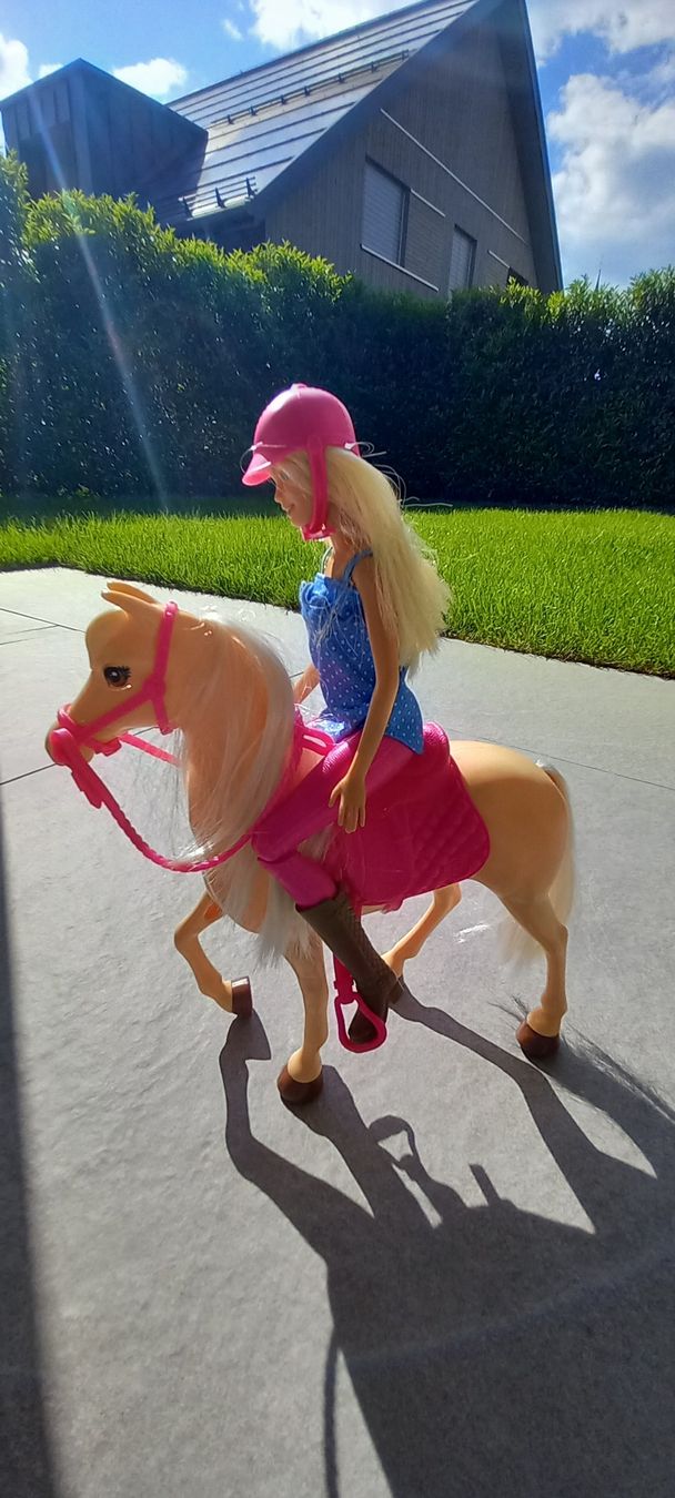 Giocattoli: Barbie Pferde sett – Usato da Bünzen venduto da kalink 3