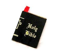 Miniatur-Bibel (2Stk.)