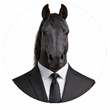 Profile image of Giusib