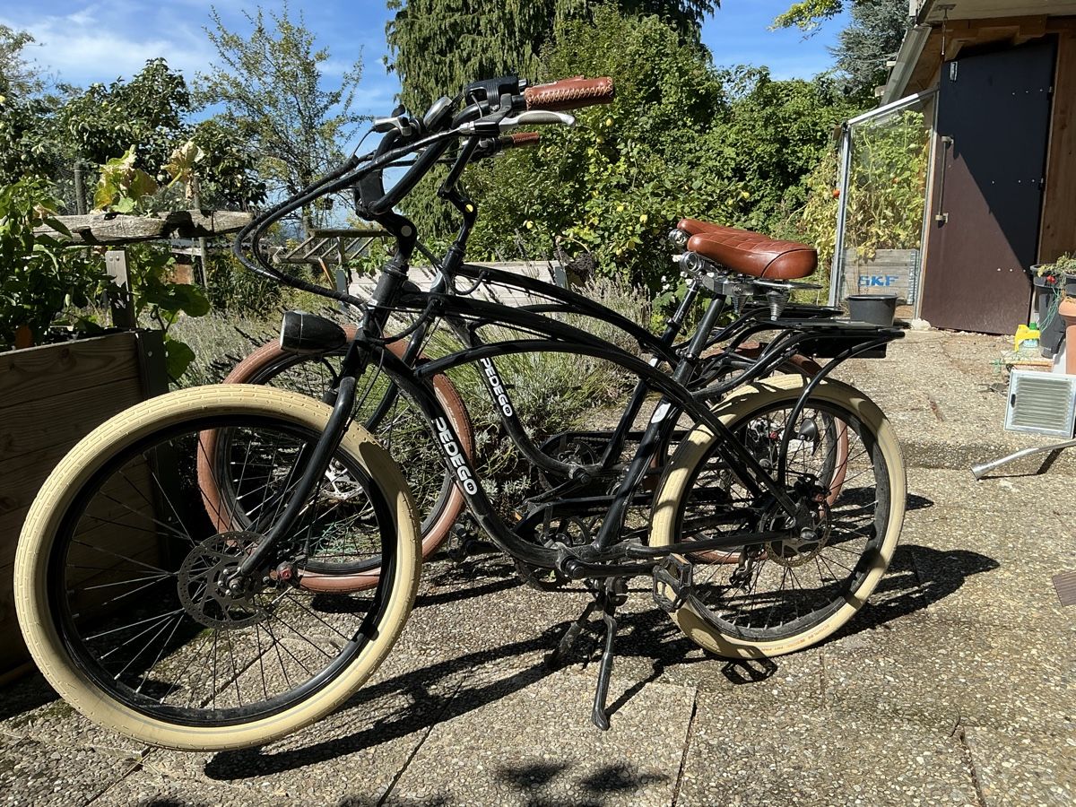 Biciclette: Ebike, Cruiser – Usato da Nussbaumen TG venduto da Hejo1 1