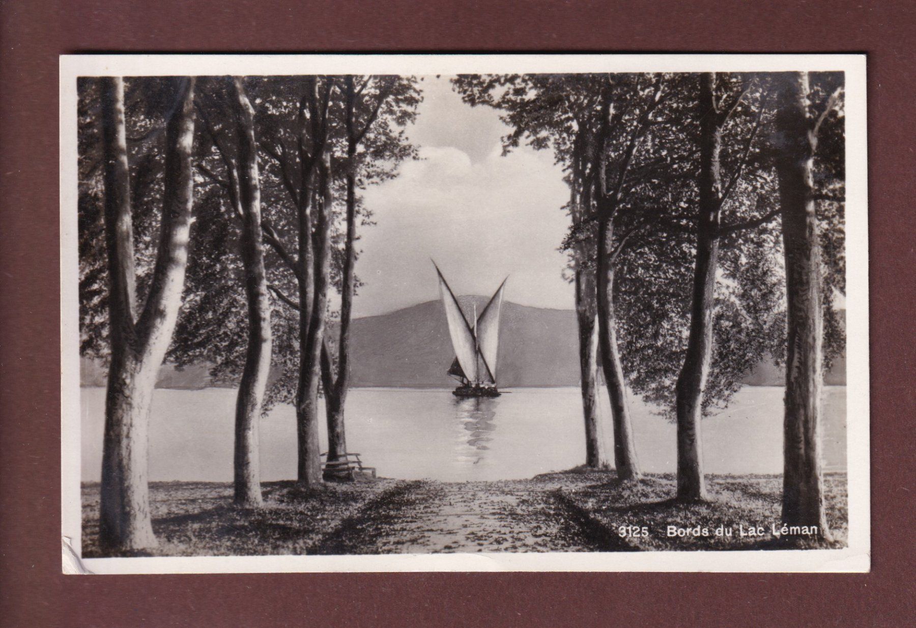Cartoline postali: Bords du LAC LEMAN - Barque - Feldpost – Usato da Pully venduto da nicecards-shop
