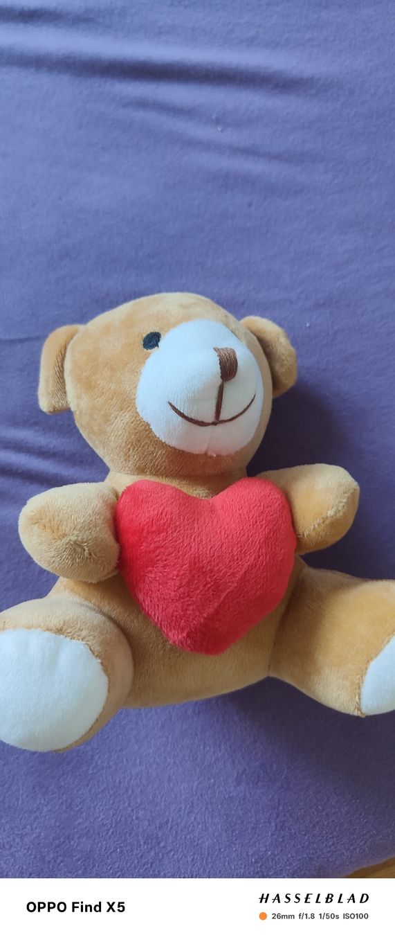 Spielzeuge: Smile Teddy mit Herz – Gebraucht aus Unterentfelden von igs_nj72 5