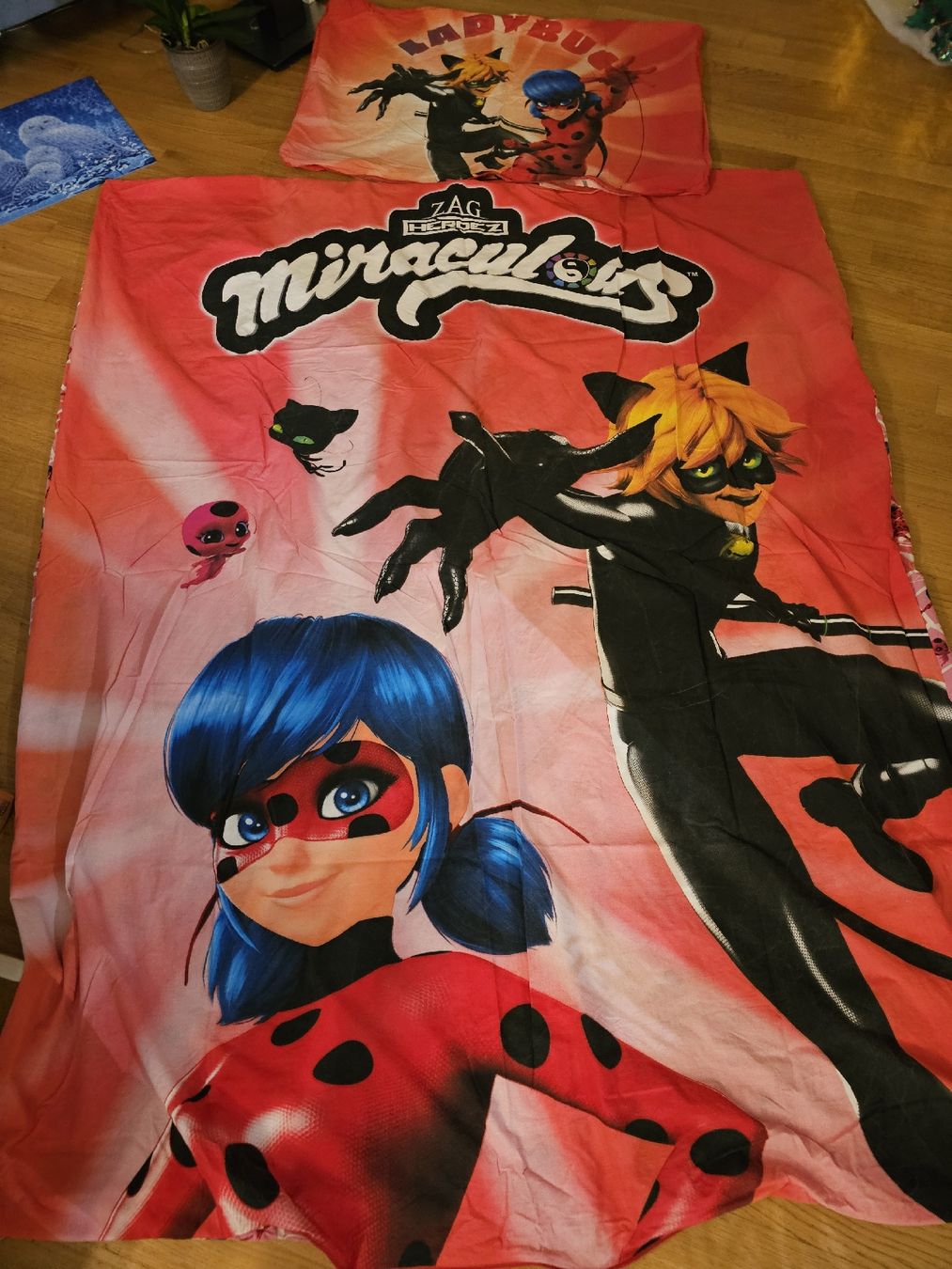 Coperte: Lady Bug Bettduvet – Usato da Ebikon venduto da Mauzi86 1